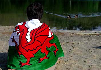 Beach towel.JPG (23552 bytes)
